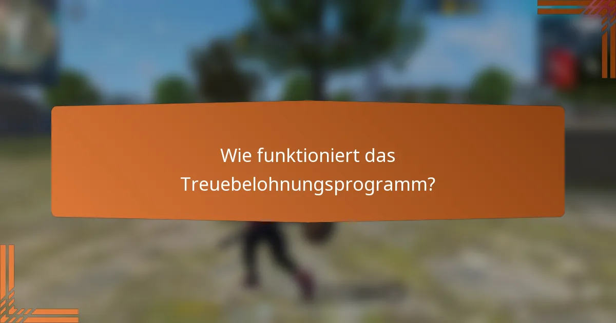 Wie funktioniert das Treuebelohnungsprogramm?